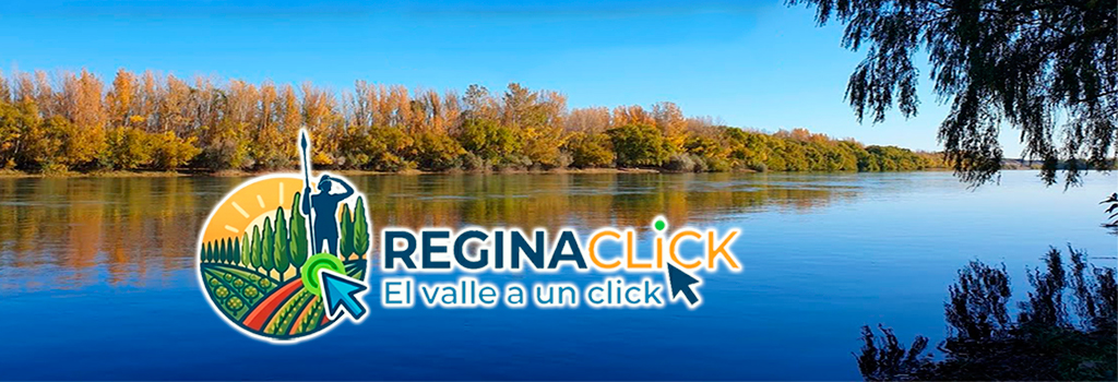 bannerregina